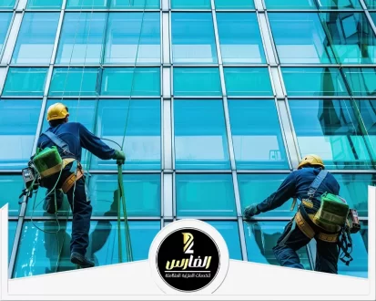 خدمات الاستشارات الإدارية والمالية