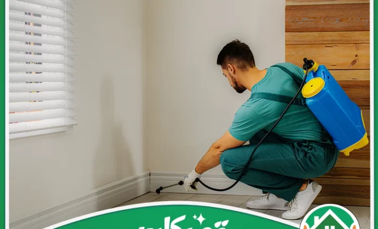 تنظيف عميق للمنزل بعد التجديد - بعد التنظيف